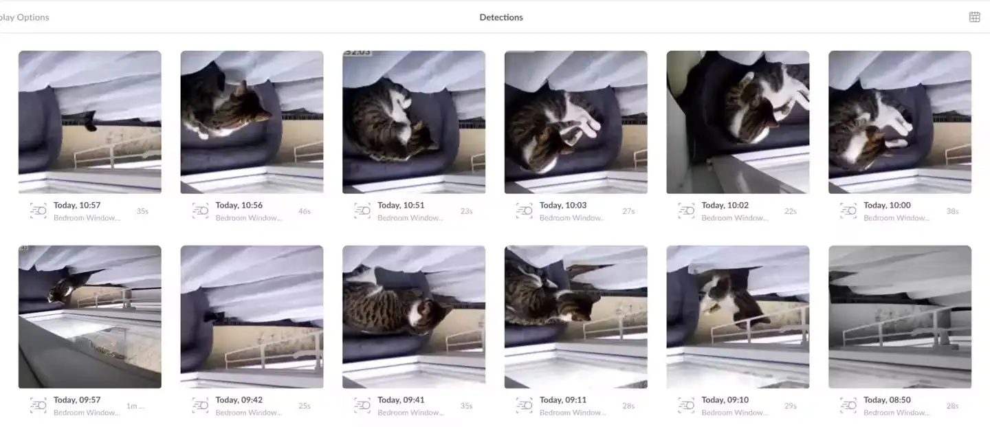 Sample motion detection recordings from UniFi Protect showing the windowsill camera feed