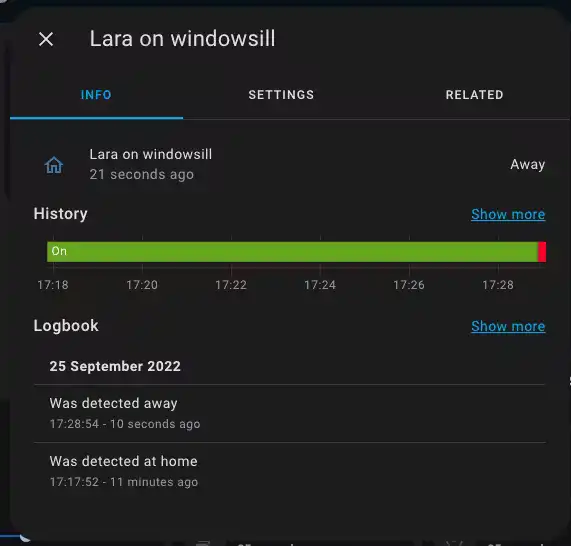 Home Assistant showing the cat presence binary sensor on the windowsill