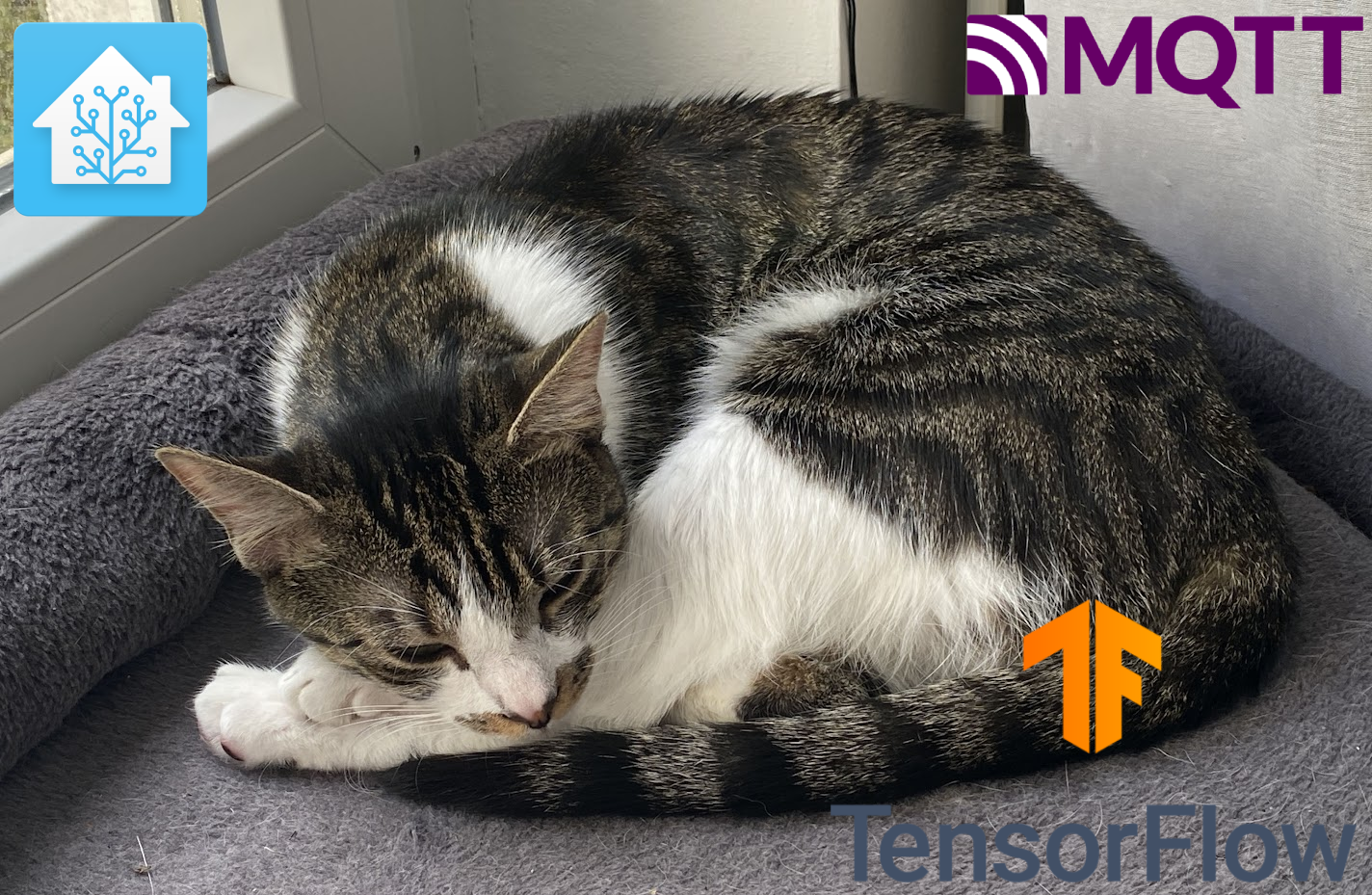 cat2mqtt: Quick beginner-friendly custom object detection with TensorFlow/Keras