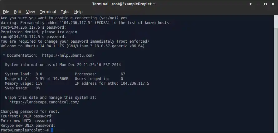 First login terminal